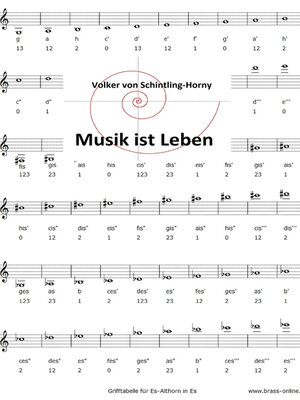 cover image of Musik ist Leben